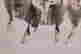 item-120071208=4