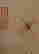 item-127642010=4