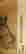 item-128526080=4
