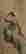 item-128526083=2