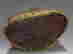 item-128526329=3