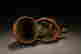 item-130842755=11