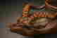 item-130842755=4