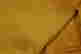 item-130842776=11