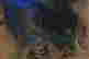 item-130842876=2
