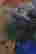item-130842876=4