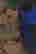 item-130842876=5
