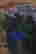item-130842876=6
