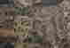 item-130842886=10
