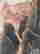 item-130842887=2