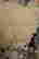 item-130842888=4