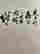 item-130842895=7
