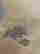 item-130842897=7
