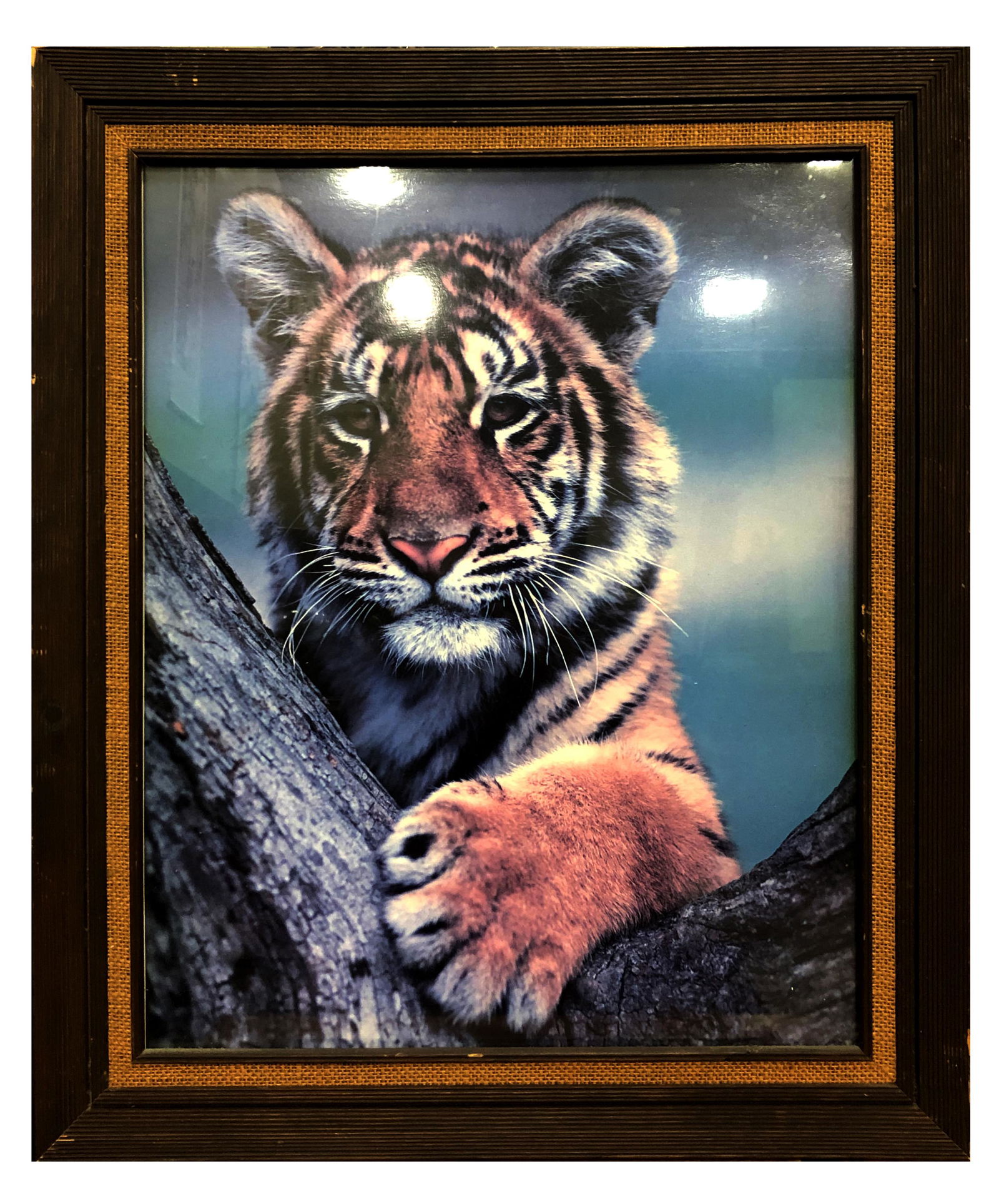 A Framed Photo Print (1 of 1)