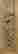 item-130843104=2