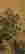 item-130843109=3