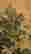 item-130843109=5