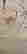 item-130843110=5