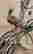 item-130843172=4