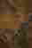 item-133394006=4