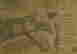item-133394109=16