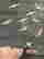 item-134028072=6