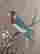item-134028072=7