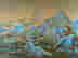 item-134028142=6