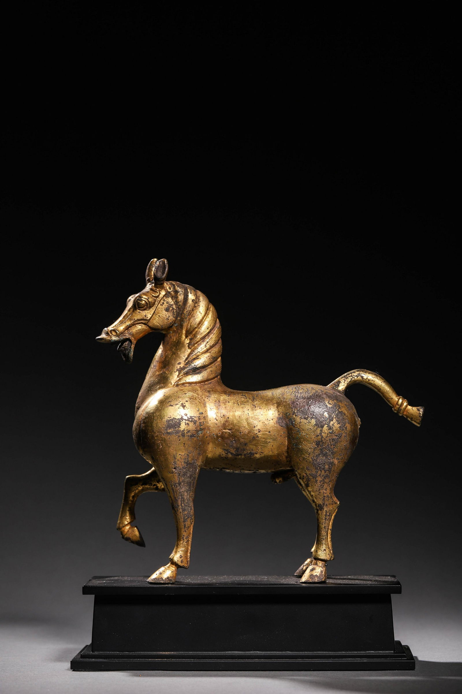 Tang: A Gilt Bronze Horse Statue (1 of 14)