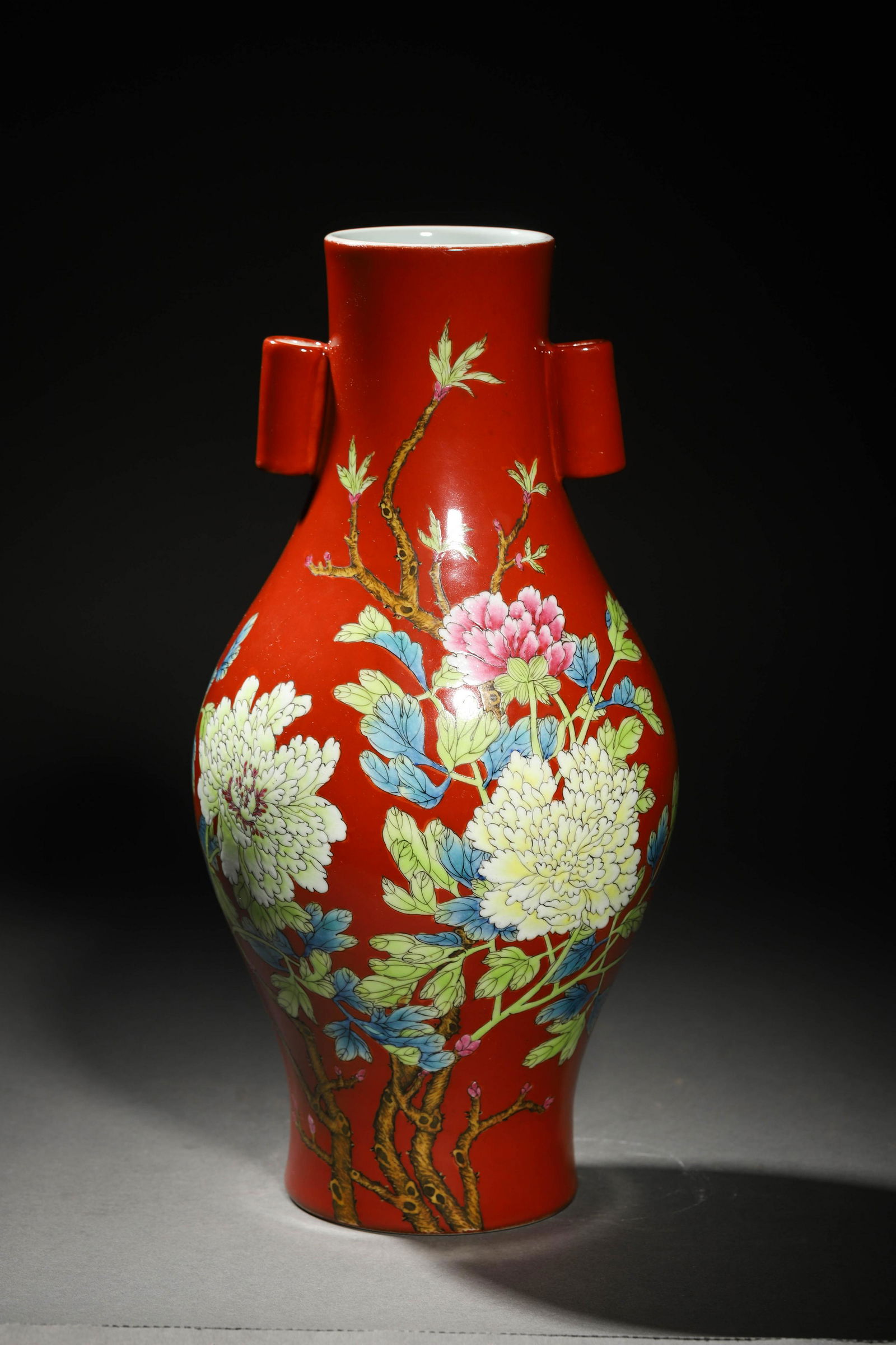 Qing: A Coral Red Color Porcelain Vase (1 of 7)
