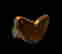 item-135640764=9