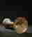 item-136917095=3