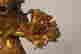item-137008530=5