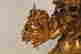 item-137008530=6