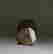 item-137012339=7