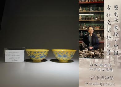 A Pair Yellow Glazed Bowl