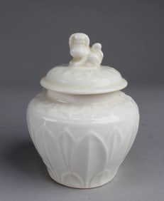 Chinese Porcelain Jar