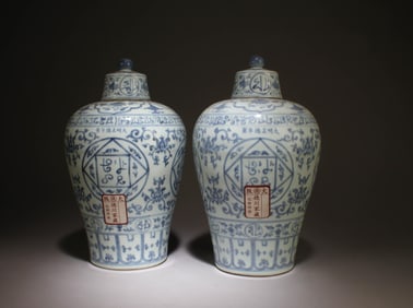 A Pair of Blue and White Vase