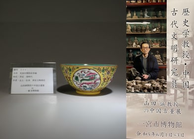 A Fencai Bowl with Fu Dog Motif