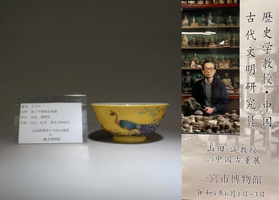 A Fencai Bowl with Peacock Motif