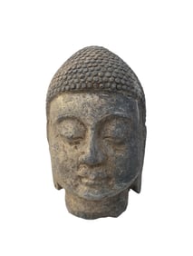 A Tang Dynasty Stone Shakyamuni Buddha Head