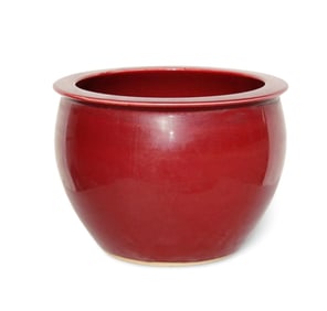 A Red Glazed Pot