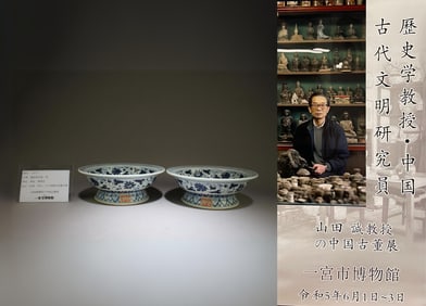 A Pair of Blue and White Plate with Dragon Motif