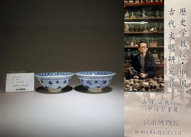 A Pair of Blue and White Bowls