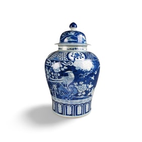 Chinese Blue & White Porcelain Jar