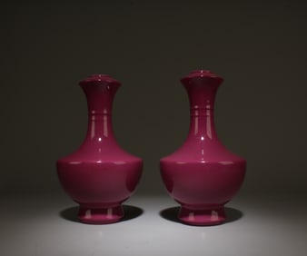 A Pair of Chinese Porcelain Vases