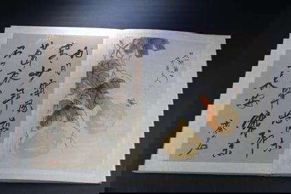 Chinese Painting Album