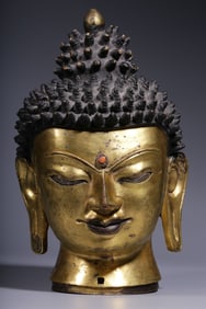 A Gilt Bronze Shakyamuni Buddha Head