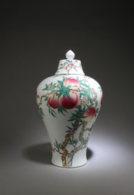 A Porcelain Meiping Vase