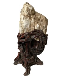 A Fossil Wood Boulder
